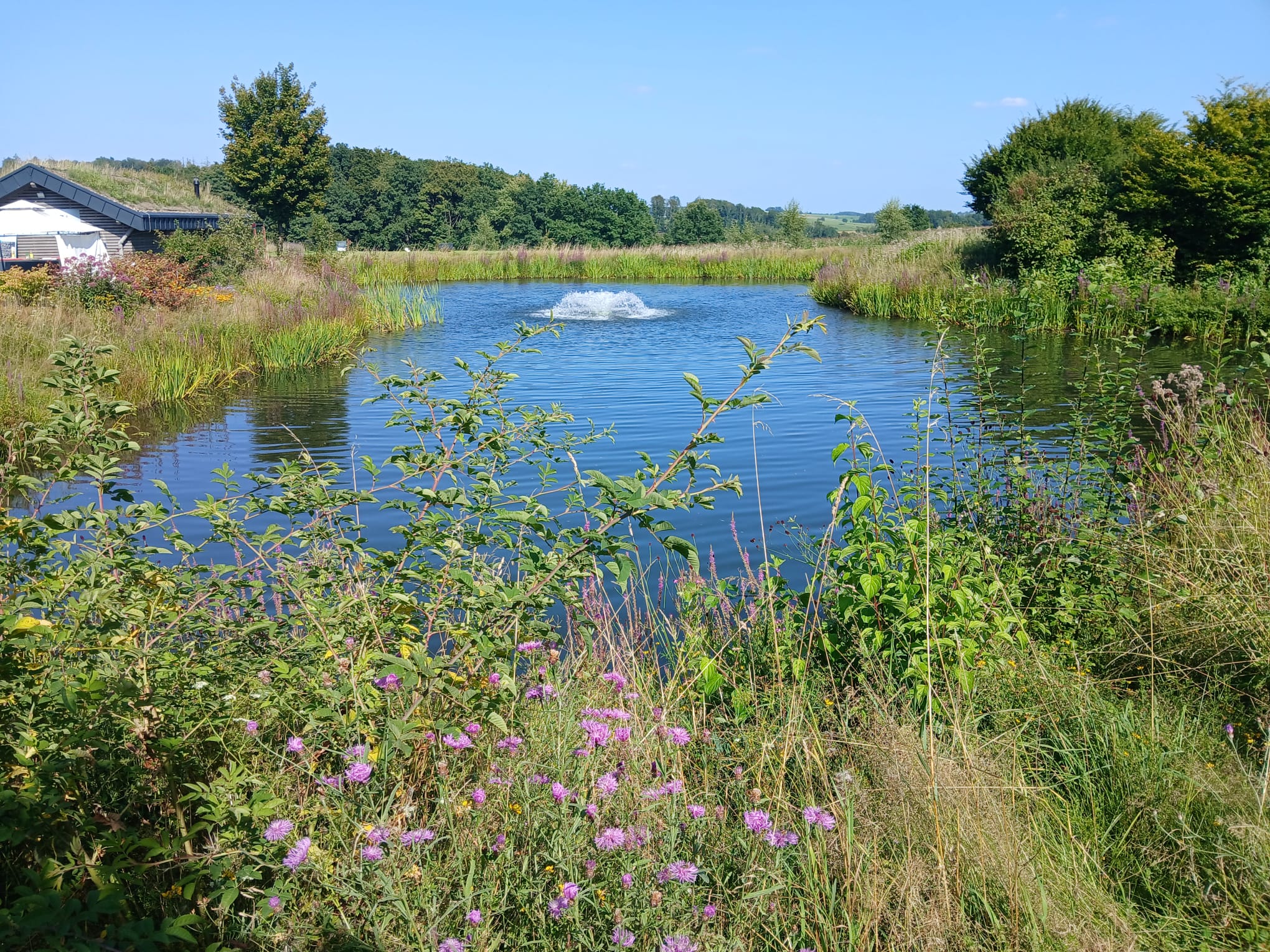 Halfwayhouse Impression 2