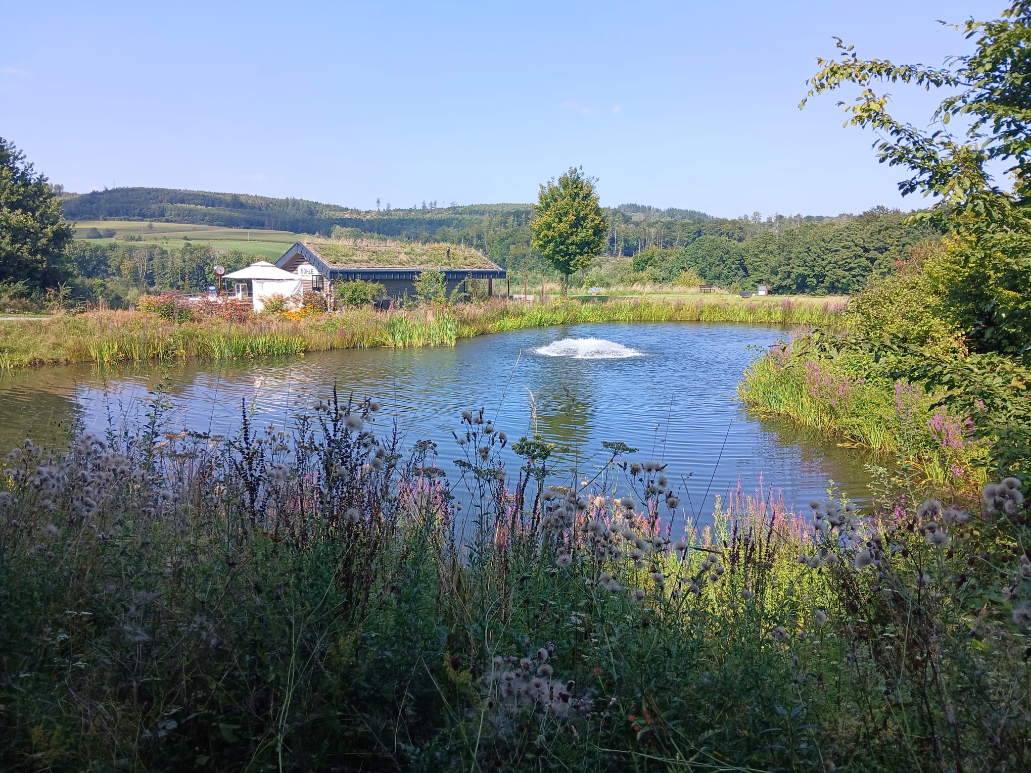 Grillen am Halfwayhouse 8