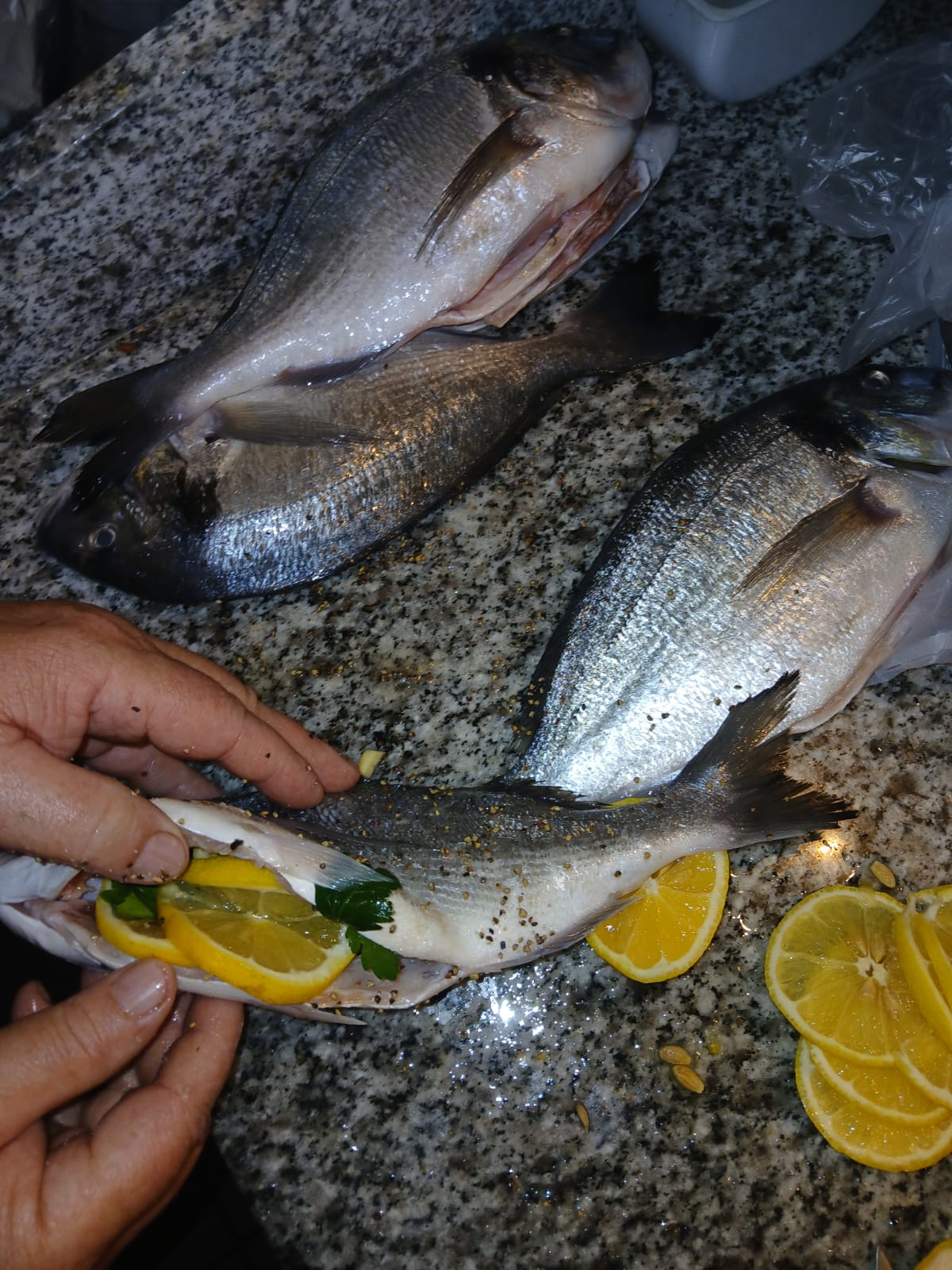 Wieder ein toller Tag am Halfwayhouse 11