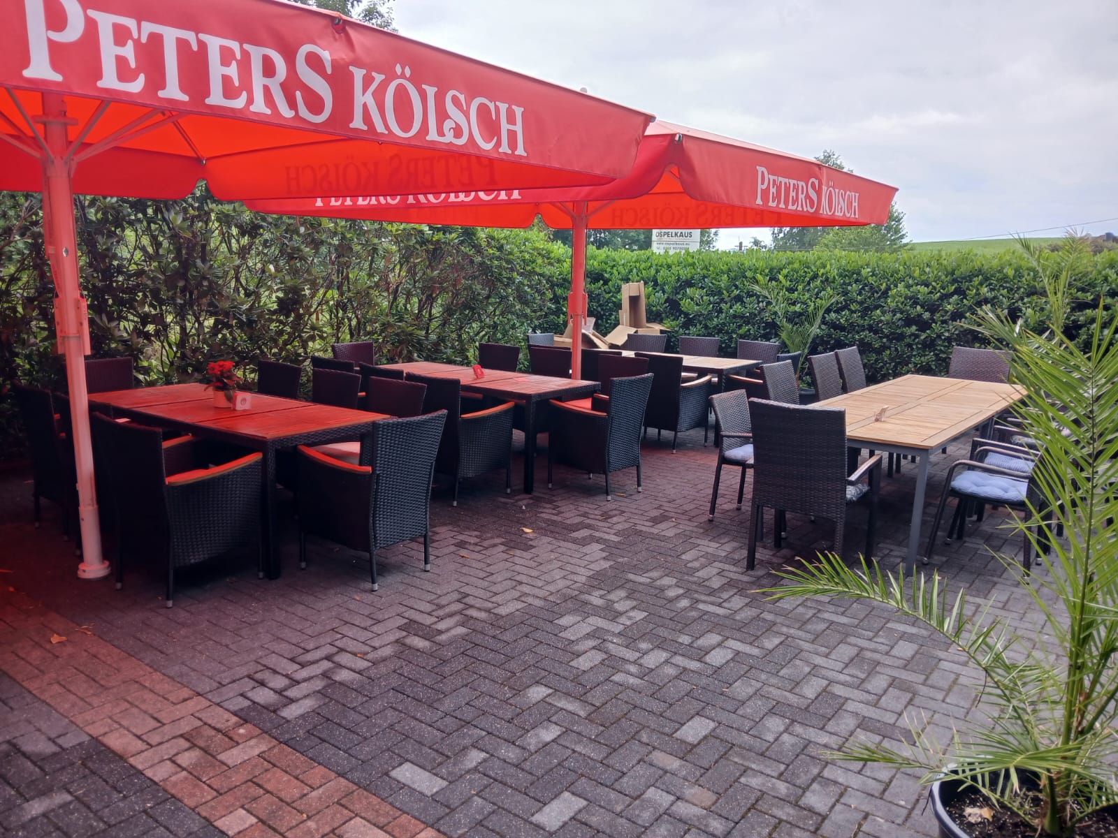 Terrasse am Clubhaus 5